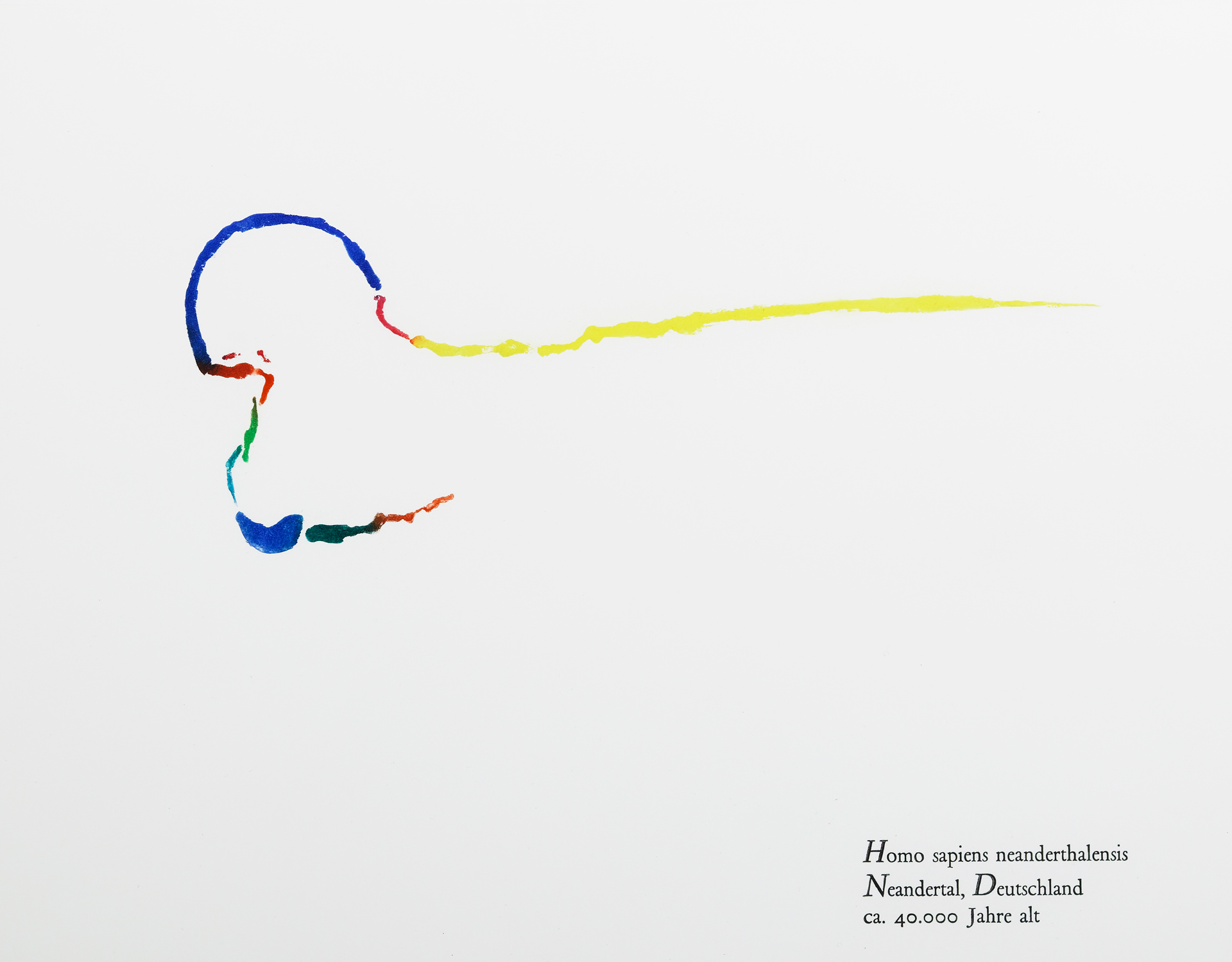 Neanderthalensis